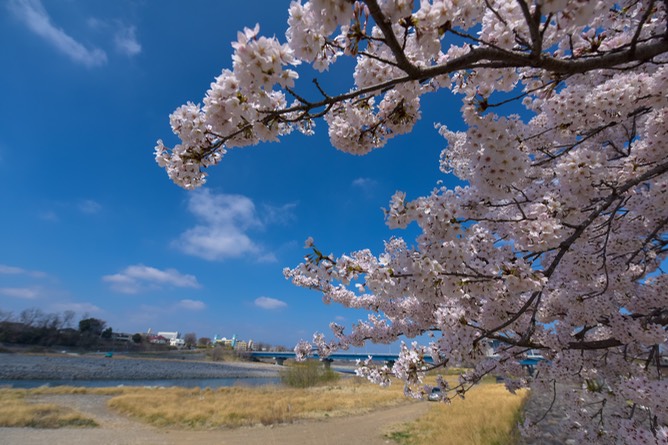 20150402-810_9550-20150402