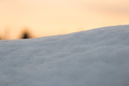 20180223-DSC09170-20180223