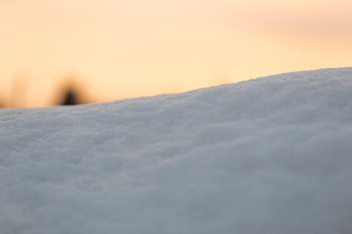 20180223-DSC09170-20180223