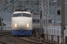 349-20081031