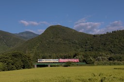 810_2096