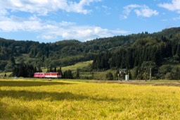810_2654