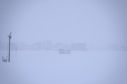 810_3142-1