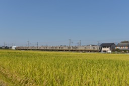 810_4741-20151019