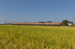 810_4805-20151019