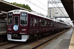 810_9617