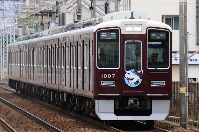 A50A0497