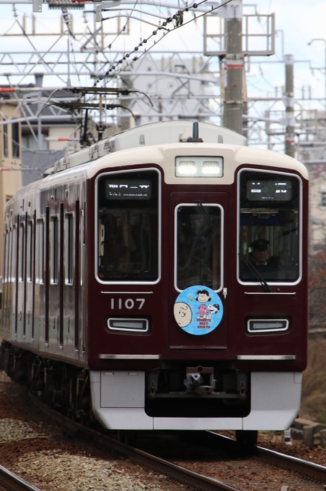 A50A0676