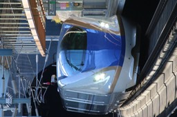 A50A3318