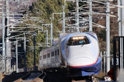 A50A3342