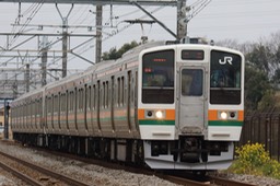 A50A3533