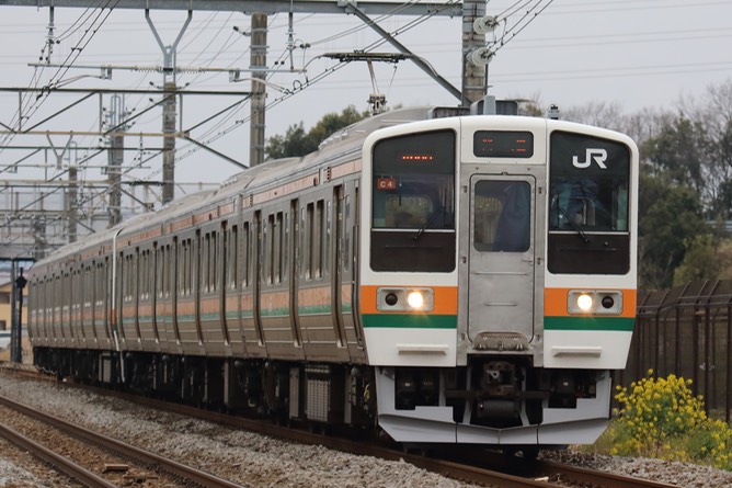 A50A3533