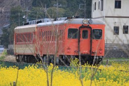 A50A3856