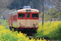 A50A4185