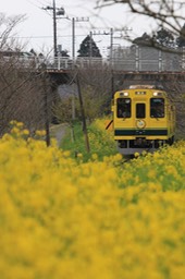 A50A4268-20150321