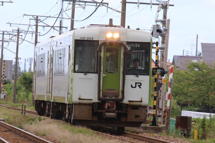A50A4443