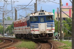 A50A4617