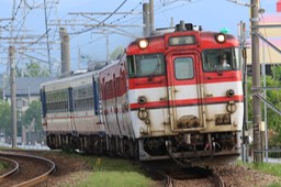 A50A4755