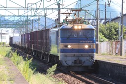 A50A5445