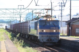 A50A5449