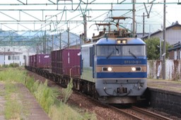 A50A5596