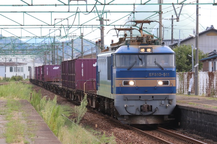 A50A5596