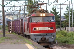 A50A5618