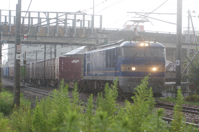 A50A6088