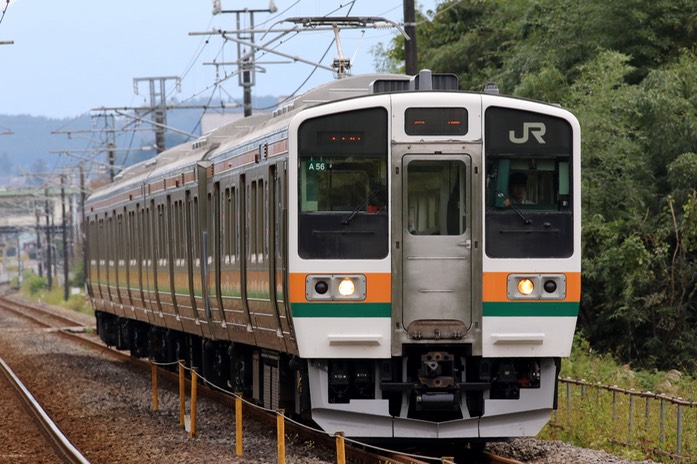 A50A7329