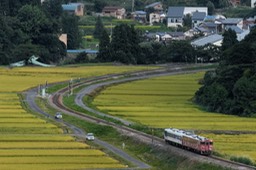 A9900531