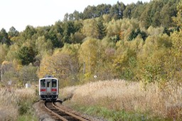 A9901204