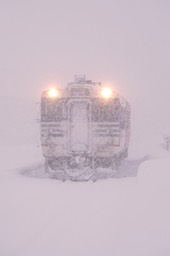 A9902755
