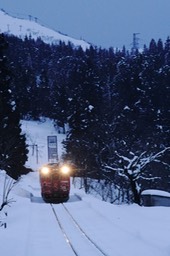 A9902816