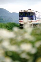 A9904333
