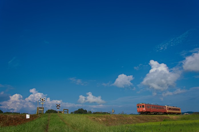 A9906551-20180924