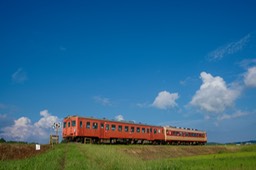 A9906584-20180924