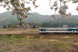 DSC00155-20180424