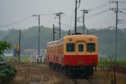 DSC00763-20180927