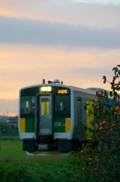 DSC00869-20180927