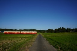 DSC01487-20180928