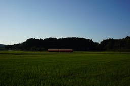 DSC01578-20180928