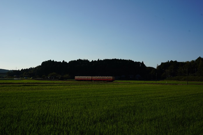 DSC01578-20180928