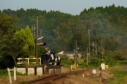 DSC01673-20180928