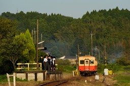 DSC01716-20180928