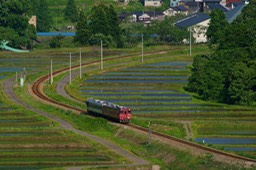 DSC02510