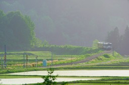 DSC02549
