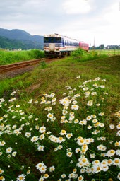 DSC03339