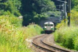 DSC07929-20180820