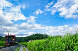 DSC08231-20180820