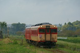 DSC08757-20180924